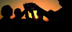 El sector del vino terminará 2010 en positivo