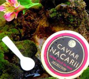 Caviar Nacarii producirá sus propios esturiones de beluga y oscietra