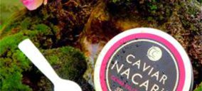 Caviar Nacarii producirá sus propios esturiones de beluga y oscietra