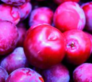 Coop. Frutos Caval apuesta por el exterior