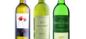 Grupo Bodegas Riojanas rebasa los 15 M€ de ingresos
