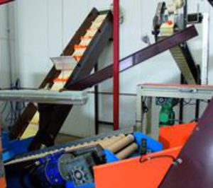 Gufresco crece más de un 50% en 2010