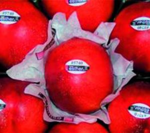Frutas Esther presupuesta 1,5 M para mejoras productivas