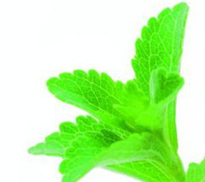 Los lanzamientos a base de stevia se incrementaron un 47% en 2010