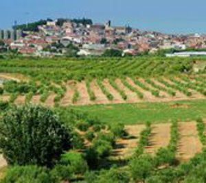 Llar Medina se adjudica la gestión de la nueva residencia de Arbeca