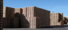 Maderas Vicente Castillo e Hijos completa inversiones en planta