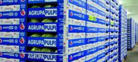 Agrupapulpi aumentó sus ventas un 32% en 2010