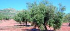 La Milagrosa de Monterrubio invertirá 1,2 M€ en ampliaciones