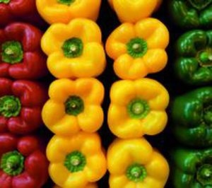 Hortofrutícola Mabe se sitúa en el doble dígito de crecimiento