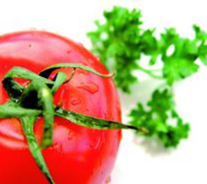 Alsat introduce mejoras en los procesos productivos en Don Benito