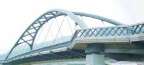 Iva Leying declarada en concurso