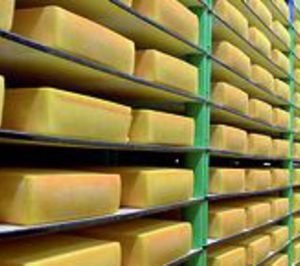 Arla reestructurará su producción de queso amarillo en Dinamarca y Suecia