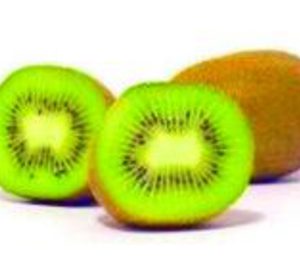 Coop. Garaia reduce un 6% sus ventas