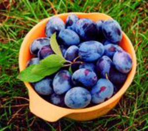 La continuidad de Frutos Caval en peligro