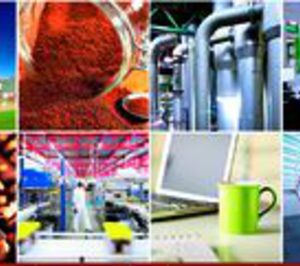 Prosol crece un 2,6% pero reduce sus beneficios en torno a un 20%