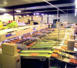 Cuatro ofertas por Hibramer