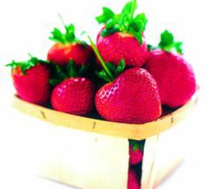 Coop. Agromolinillo introduce sus berries en el mercado asiático