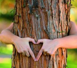 Nace PinVita de la mano de Danisco y Arboris