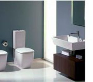 Saneamientos Cruz, suma y sigue