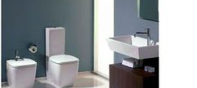 Saneamientos Cruz, suma y sigue