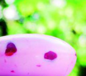 Jesús Gómez registrará menos ventas este año