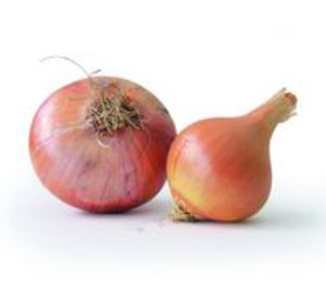 Cebollas Tara crece más de un 30%