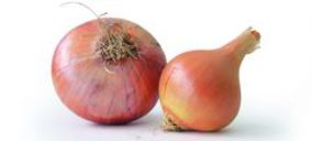 Cebollas Tara crece más de un 30%