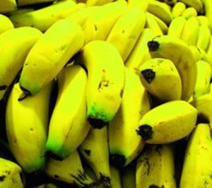 Trasmediterránea también transportará los plátanos de Coplaca