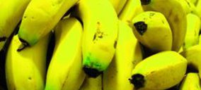 Trasmediterránea también transportará los plátanos de Coplaca