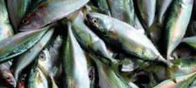 Fricam inaugura su factoría de pescado congelado, tras invertir 7 M€