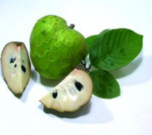 Ocho andaluzas se unen para trabajar la IV y V gama de frutas tropicales