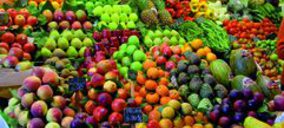 Cambios en el consejo y accionariado de las empresas del Grupo López Sánchez