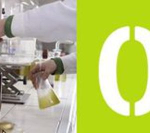 Sovena se expande comercialmente, mantiene beneficios e invierte