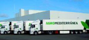 Agromediterránea incrementa sus ventas un 36%