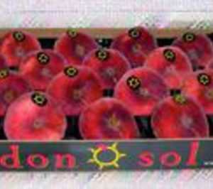 Coop. Agropecuaria de Soses concluye la ampliación de sus cámaras frigoríficas