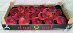 Coop. Agropecuaria de Soses concluye la ampliación de sus cámaras frigoríficas