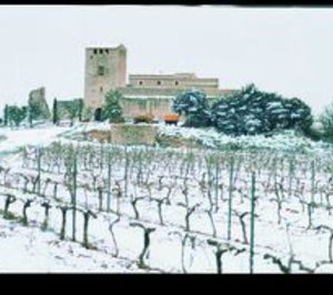 Torres: marca de vino europea más poderosa