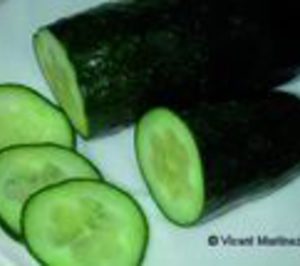 La crisis del pepino pasa factura al transporte frigorífico