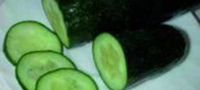La crisis del pepino pasa factura al transporte frigorífico