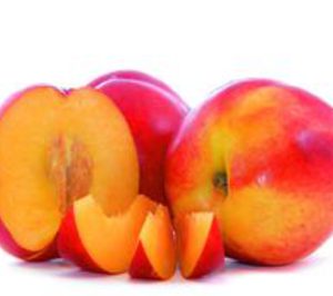 La asociación Fruit Futur seleciona ocho nuevas variedades de frutas de hueso