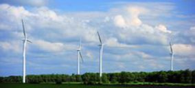 Corbis negocia su entrada en Nyesa