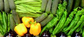 La crisis del pepino levanta ampollas en Europa