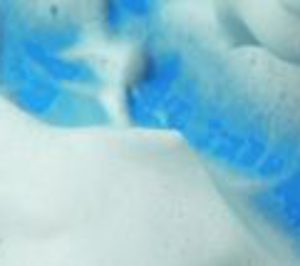 Jabones El Abra reduce sus ingresos en 2010