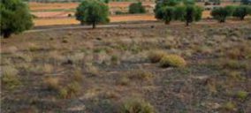 La Comunidad de Madrid estudia edificar viviendas en suelo rústico