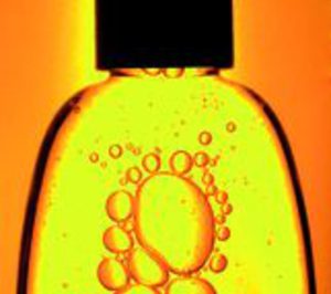 Stecnic prevé volver a crecer en 2011