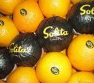 El Grupo Franch cesa actividad