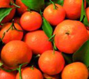 Martinavarro, próxima a adquirir la central de Citroluz