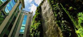 El Mercure Santo Domingo inaugura su jardín colgante