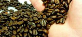 El consumo de café en España, a examen