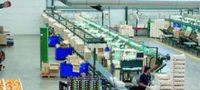 Grup Actel anuncia sus proyectos para ganar dimensión